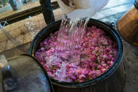 خرید گلاب قمصر کاشان + بهترین قیمت